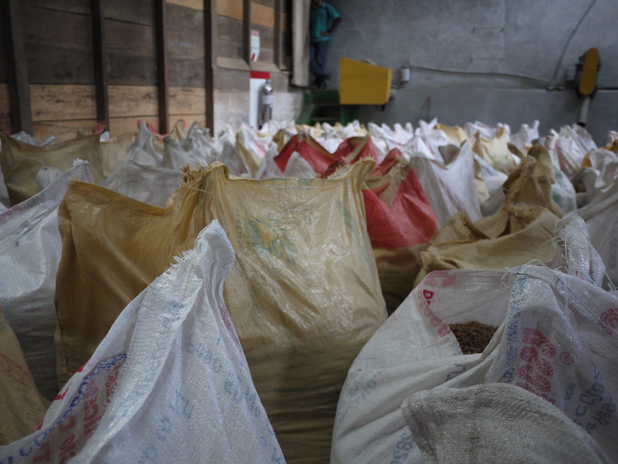 2023 global coffee report